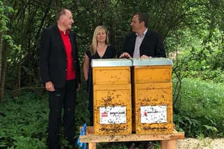 Bienenjahr '18 Bild 13