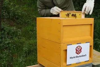 Bienenjahr '18 Bild 302