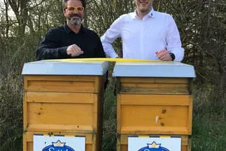 Bienenjahr '18 Bild 246
