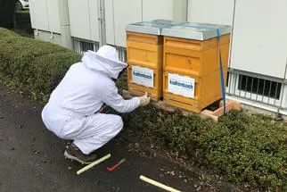 Bienenjahr '18 Bild 273