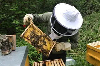 Bienenjahr '18 Bild 290