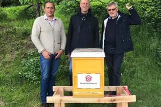 Bienenjahr '18 Bild 74