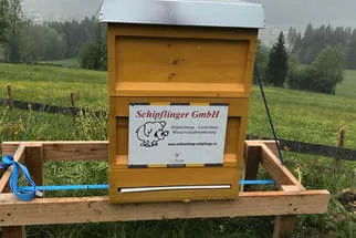 Bienenjahr '18 Bild 59