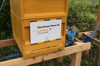 Bienenjahr '18 Bild 53