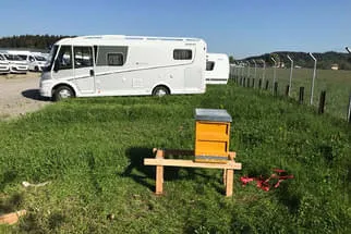 Bienenjahr '18 Bild 49