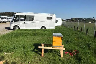 Bienenjahr '18 Bild 42