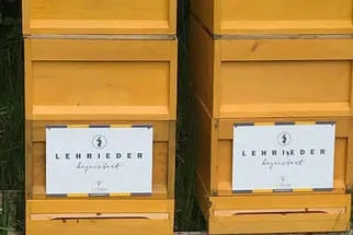 Bienenjahr '18 Bild 201
