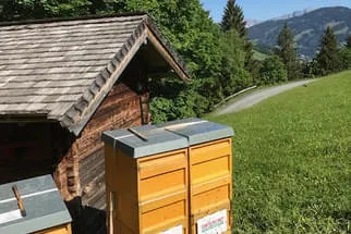 Bienenjahr '18 Bild 220