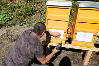 Bienenjahr '18 Bild 254