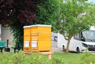 Bienenjahr '18 Bild 178