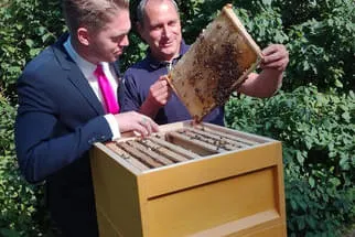 Bienenjahr '18 Bild 156