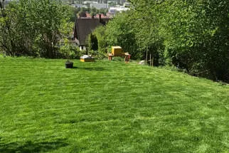 Bulu Bild 21