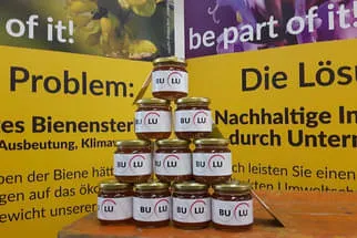 Bulu Bild 23