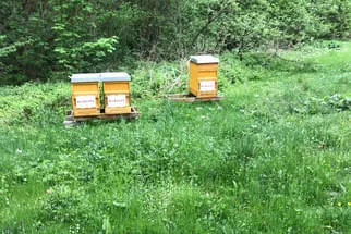 Fetzer Bild 42