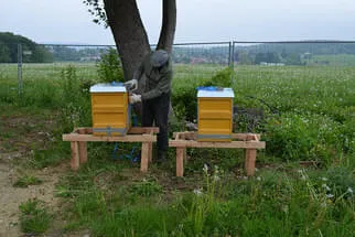 Fokus Zukunft Bild 23
