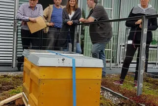 Noventi Bild 1