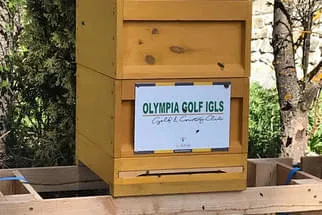 Olympia Golf Igls Bild 37