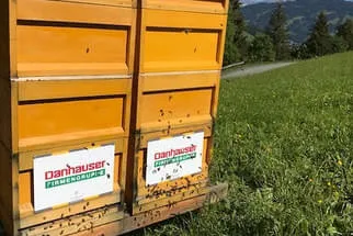 Danhauser  Bild 3