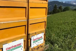 Danhauser  Bild 0