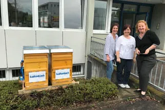 Kaltenbach Elektrotechnik
